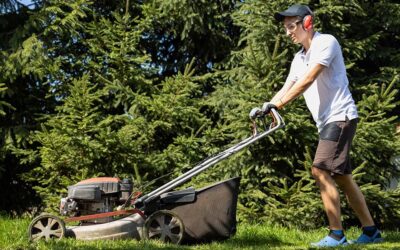 Summer Employment for Your Teen? Tax Considerations You Need to Know